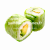 Printemps Cheese avocat